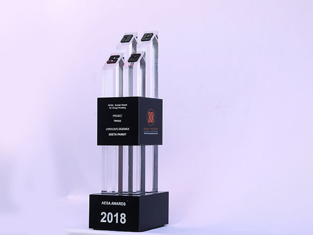AESA Awards 2018